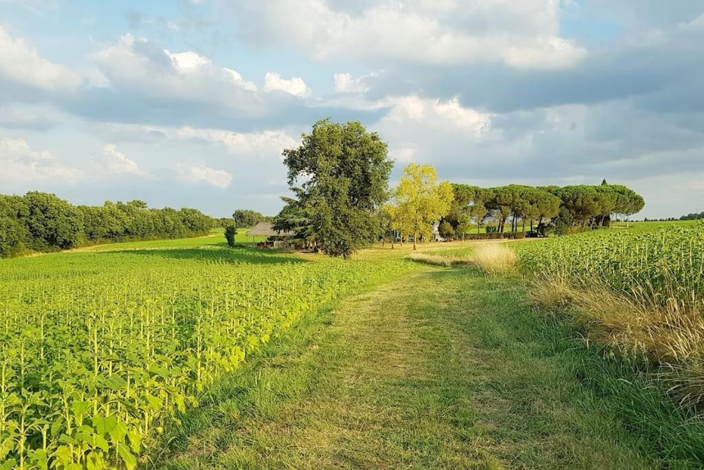 Gite De Campagne L'Estressol Cuq  المظهر الخارجي الصورة