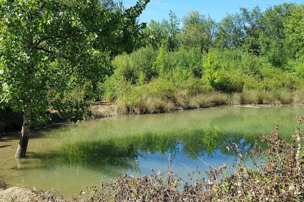 Gite De Campagne L'Estressol Cuq  المظهر الخارجي الصورة